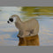 3D INTERNATIONAL 3D TARGET MINK - Group 4
