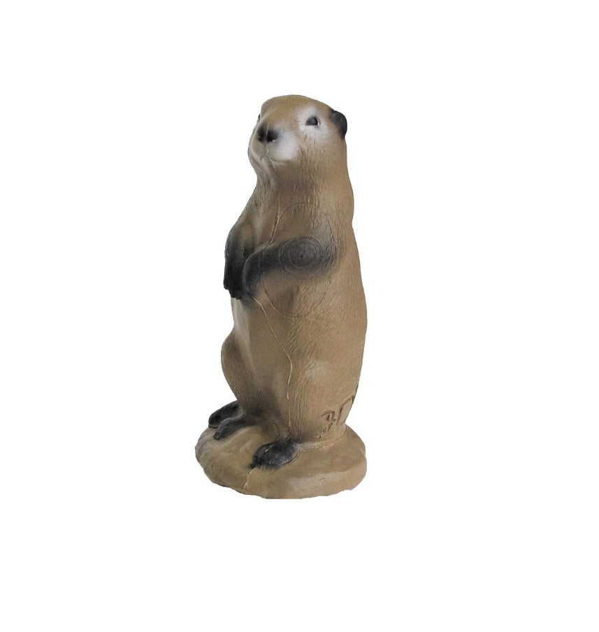 3D INTERNATIONAL 3D TARGET PRAIRIE DOG