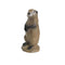 3D INTERNATIONAL 3D TARGET PRAIRIE DOG