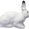 3D TARGET RABBIT POLAR - GROUP 4 - L47cm H36cm