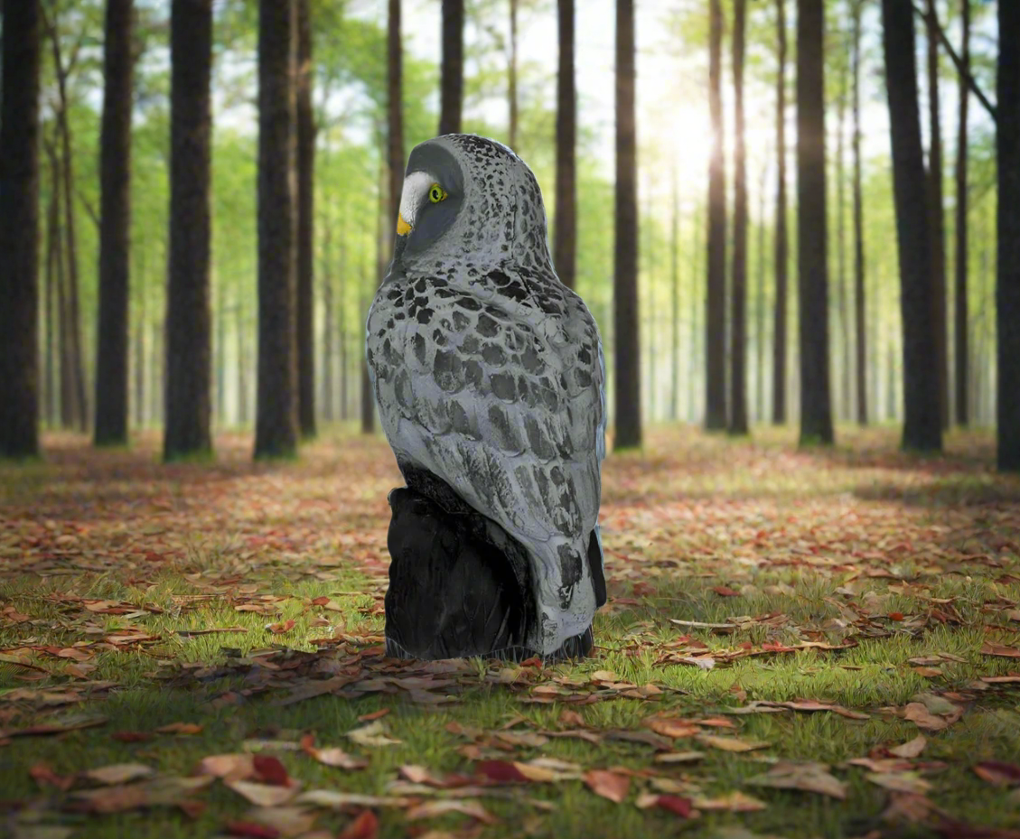 3D TARGET BARN OWL / BARBAGIANNI - DIM:48x30x23CM GROUP 4