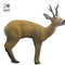 SRT 3D TARGET ROEBUCK - GROUP 2 - L96cm H89cm
