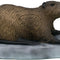 SRT 3D TARGET COYPU - GROUP 4 - L50cm H26cm