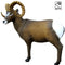 SRT TARGETS 3-D ROCKY MOUNTAIN SHEEP - GROUP 1 - L97cm H90cm