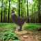 SRT 3D TARGET PHEASANT BLACK - GROUP 4 - L72cm H52cm