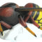SRT 3D TARGET HORNET - GROUP 4 - L60cm H28cm