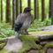 3D TARGET EAGLE