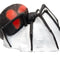 3D TARGET SPIDER BLACK WIDOW - GROUP 4 - L35cm H24cm