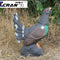 Capercaillie