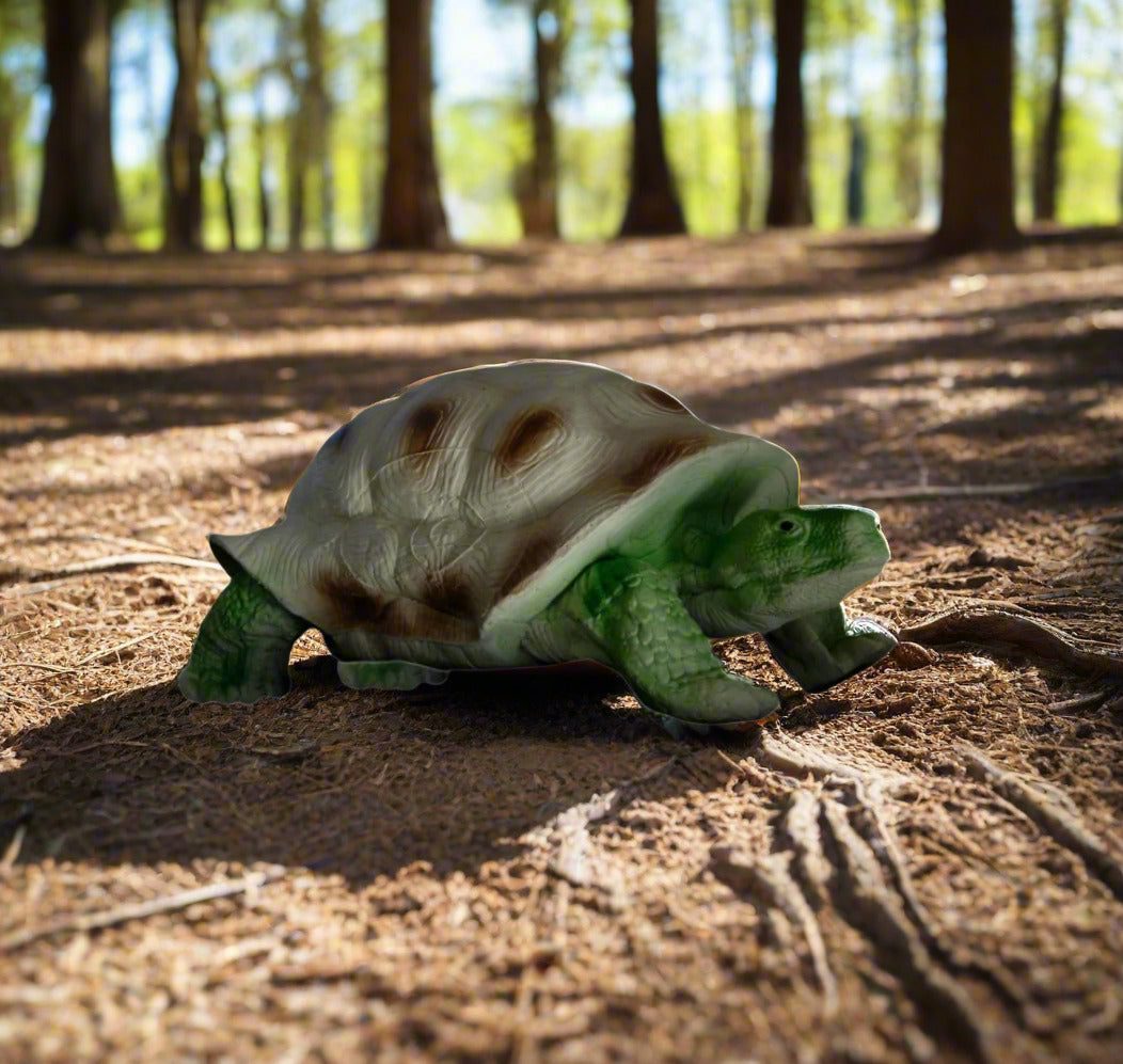 Eleven Target 3D Turtle - IFAA Group 2,3