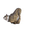 SRT 3D TARGET LYNX HUNTING - GROUP 2 - L87cm H56cm