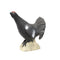 SRT 3D TARGET BLACK COCK - GROUP 4 - L54cm H58cm