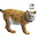 SRT 3D TARGET LYNX - GROUP 2 - L85cm H60cm