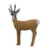 SRT 3D TARGET ROE DEER - GROUP 3 - L87cm H66cm