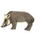 SRT 3D TARGET WILD BOAR - GROUP 2 - L110cm H62cm