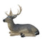 SRT BEDDED DEER MELAS - GROUP 2 - L110cm H62cm 3D TARGET