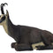 SRT TARGETS 3-D CHAMOIS WINTER COLOR BEDDED - GROUP 2 - L105cm H62