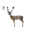 SRT TARGETS 3-D FALLOW DEER - GROUP 1 - L140cm H90cm
