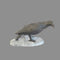 SRT 3D TARGET RAVEN - GROUP 4 - L60cm H40cm