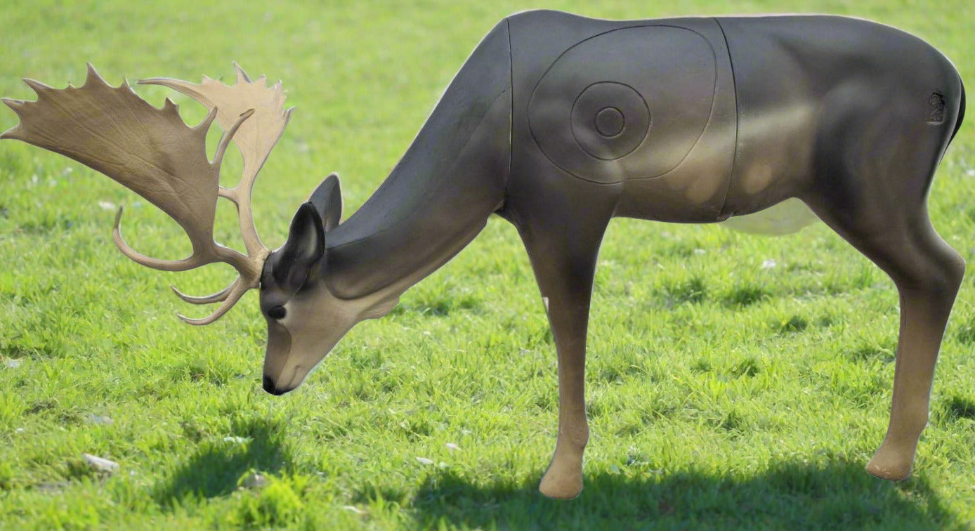 SRT TARGETS 3-D FALLOW DEER GRAZING MELAS - GROUP 1 - L156cm H90cm