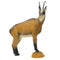 SRT TARGETS 3-D CHAMOIS SUMMER COLOR - GROUP 2 - L90cm H86cm