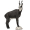 SRT TARGETS 3-D CHAMOIS WINTER COLOR GRAZING - GROUP 2 - L93cm H80