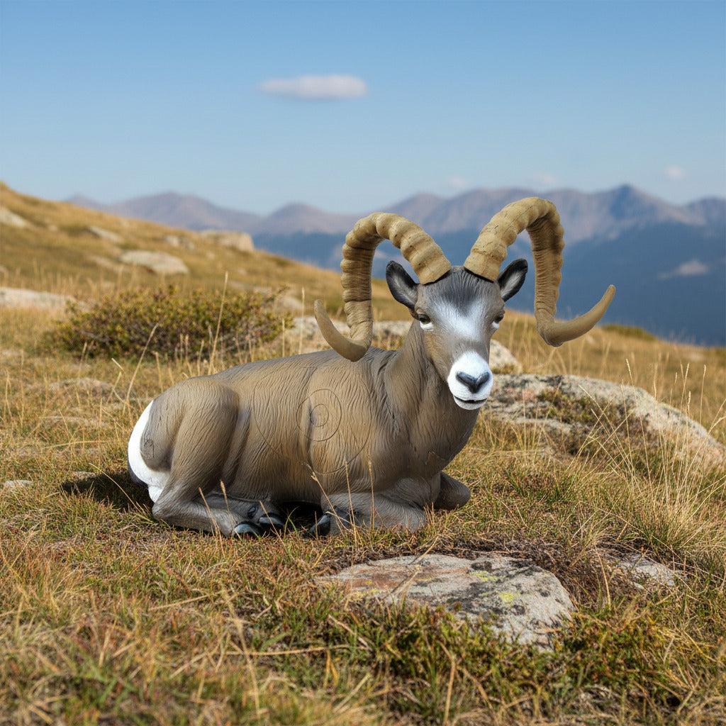 SRT TARGETS 3-D ROCKY MOUNTAIN SHEEP BEDDED- GROUP 1 - L96cm H43cm