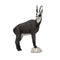 SRT TARGETS 3-D CHAMOIS WINTER COLOR - GROUP 2 - L90cm H86cm