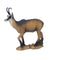 SRT TARGETS 3-D CHAMOIS SUMMER COLOR WALKING - GROUP 2 - L93cm H80
