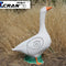 Goose (alt)