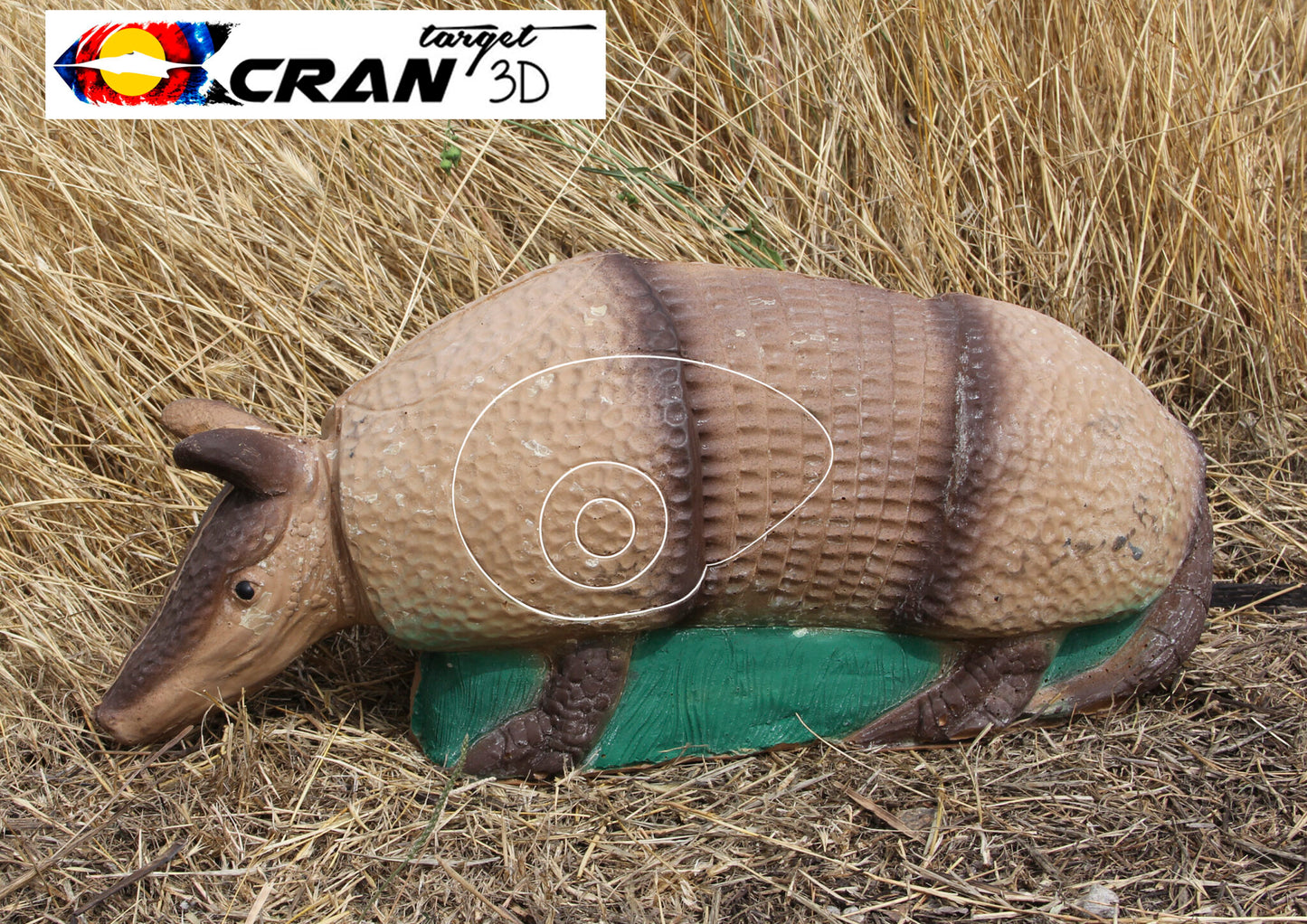 Armadillo