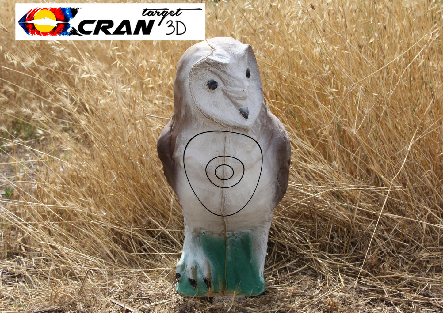 Barn Owl