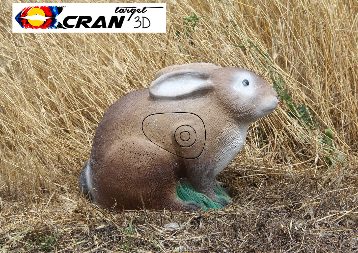 Droopy-Eared Rabbit