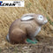 Droopy-Eared Rabbit
