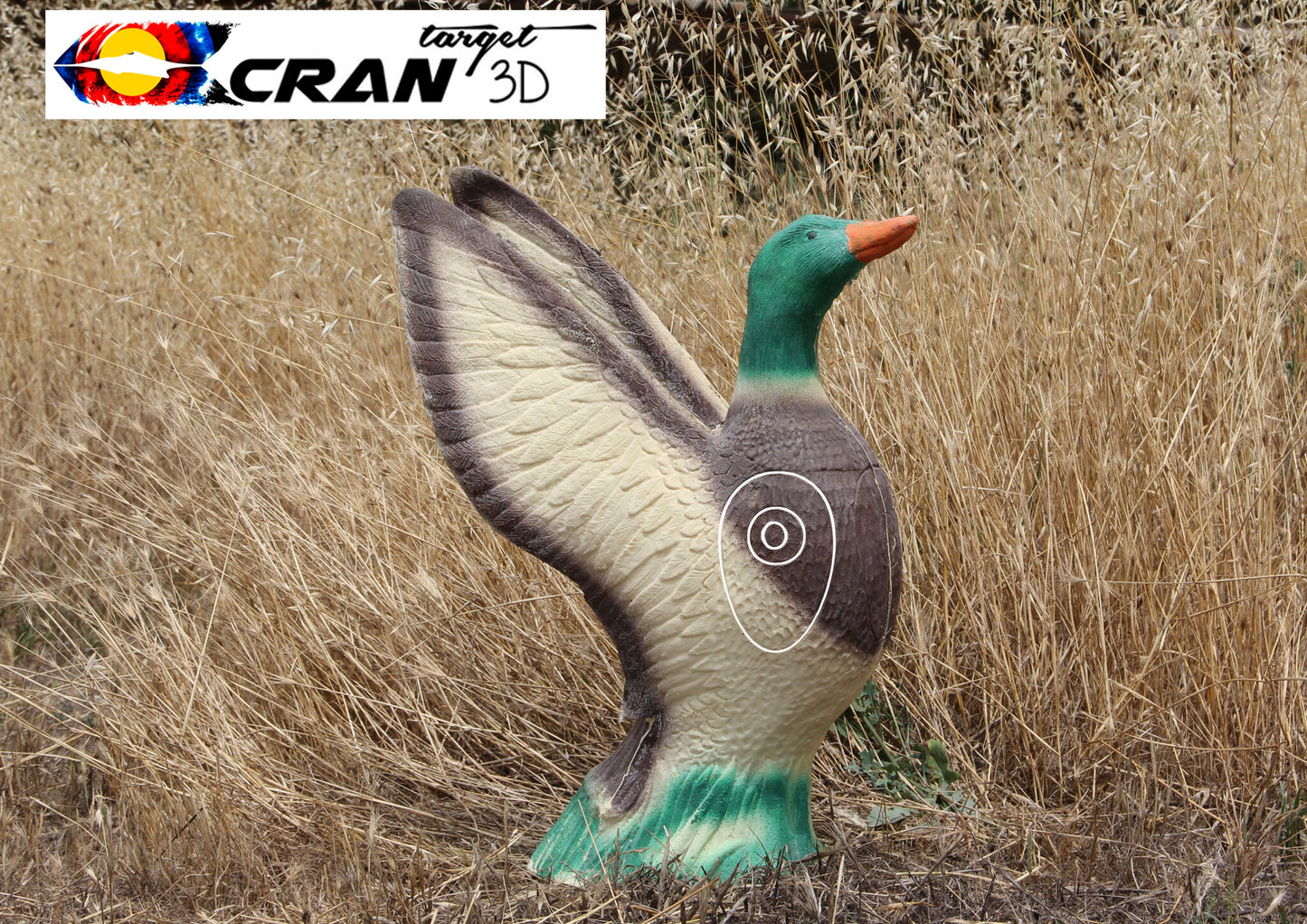 Flying Duck