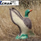 Flying Duck