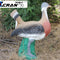 Great Bustard