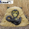 King Cobra