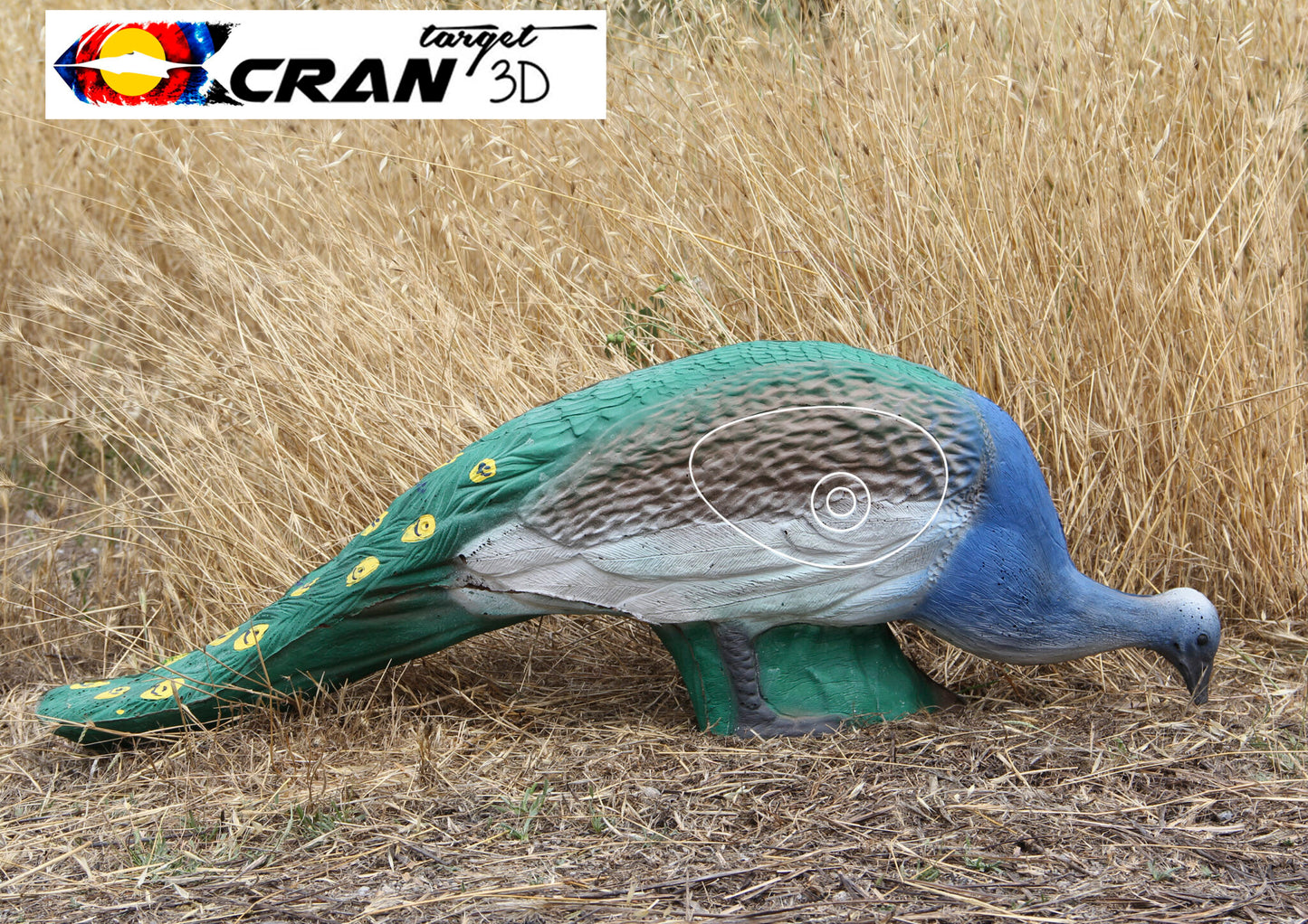 Peacock