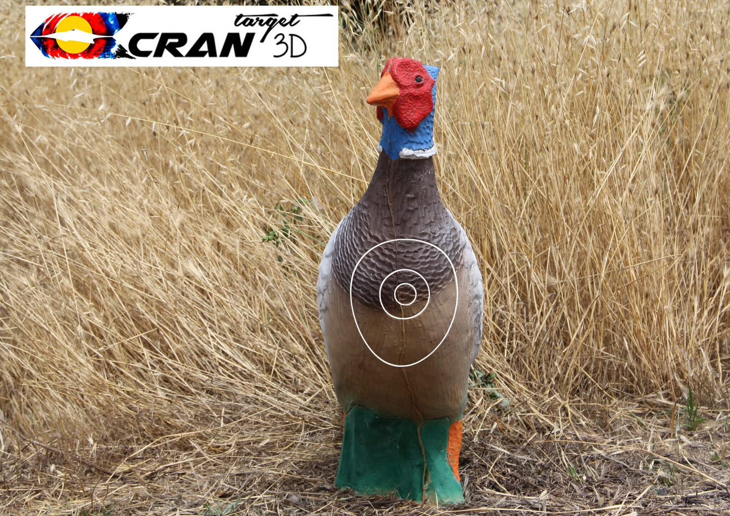 Pheasant