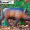 Reddish Wild Boar