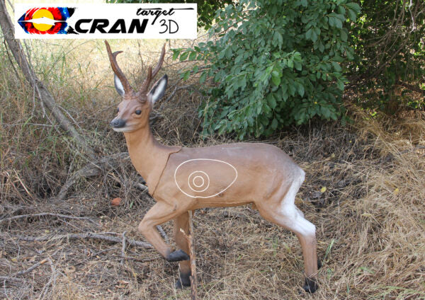 Roe Deer