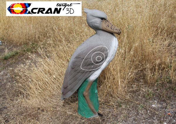 Shoebill