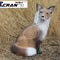 Sitting Fox