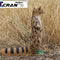 Sitting Genet