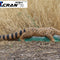 Stalking Genet