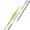 Shocq Inceptor 4.2 Carbon Arrows – Feathers with Point Installed PK/72