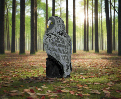3D TARGET BARN OWL / BARBAGIANNI - DIM:48x30x23CM  GROUP 4