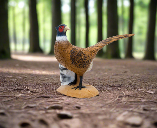 SRT 3D TARGET PHEASANT - GROUP 4 - L72cm H52cm
