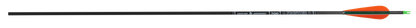 Skylon Frontier 6.2 Arrows